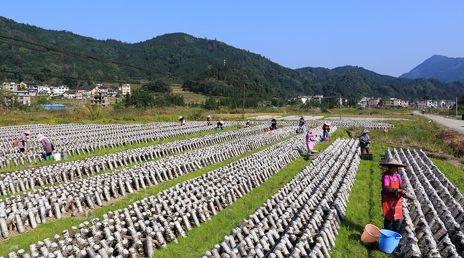 首页| 鸿运国际集团官网接待你登录